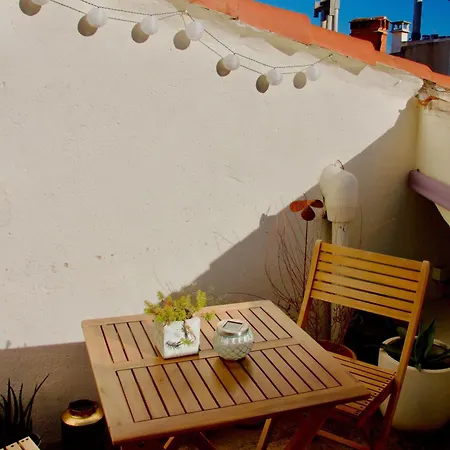Joli Avec Terrasse-jardin Sur Les Toits, Coeur Historique Apartment *
