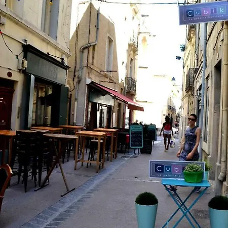 Joli Avec Terrasse-jardin Sur Les Toits, Coeur Historique Montpellier