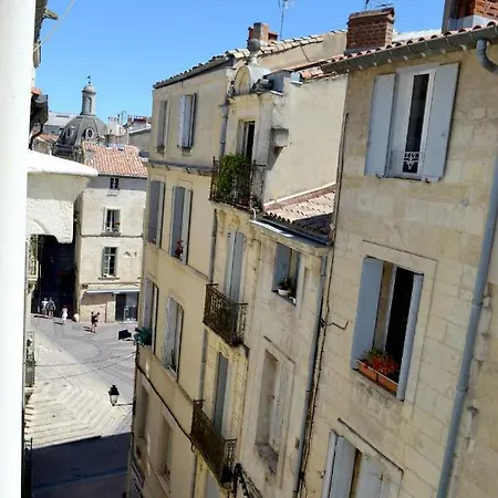 Joli Avec Terrasse-jardin Sur Les Toits, Coeur Historique